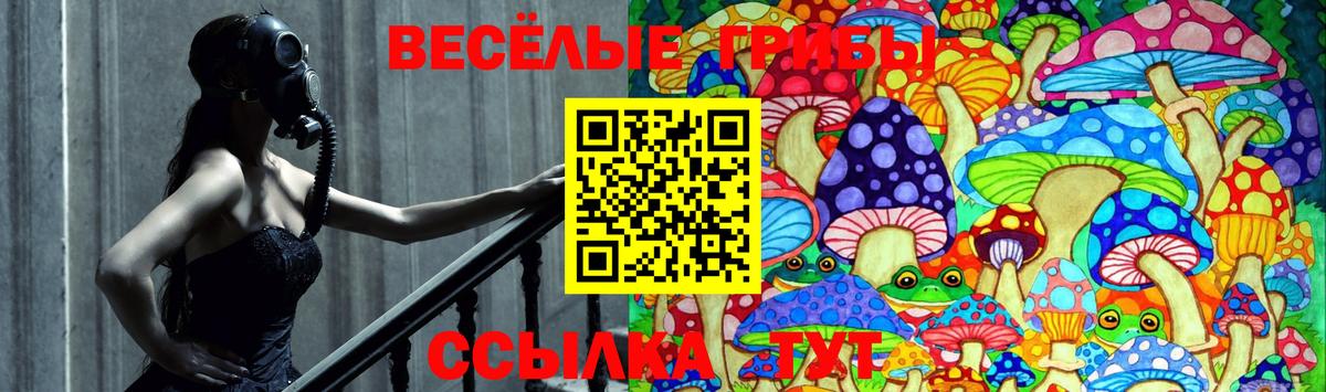 Псилоцибиновые грибы GOLDEN TEACHER Отрадное