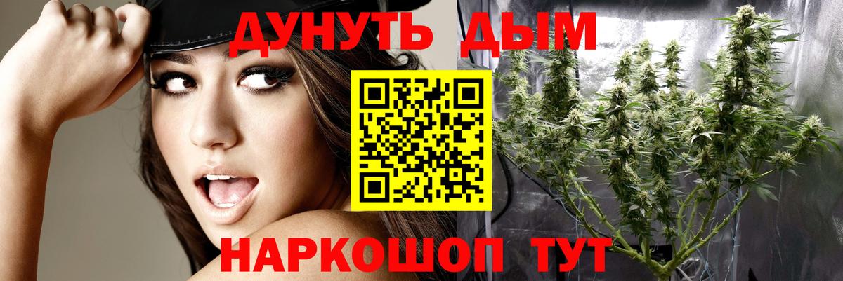 Канабис MAZAR Отрадное